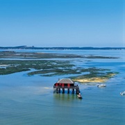 Bassin D'Arcachon
