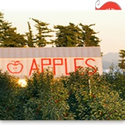 Bellewood Acres (Lynden, Washington)