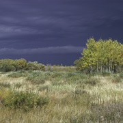Agassiz National Wildlife Refuge