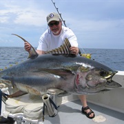 Catch a Tuna