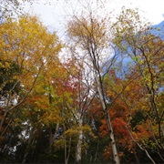 Clear Creek Nature Preserve, Ohio