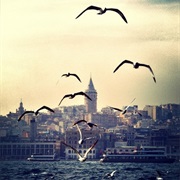 Participate in a Multiculturalism Event