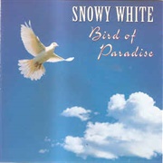 Bird of Paradise - Snowy White