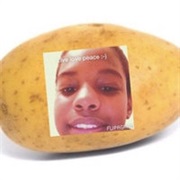 A Potato Flew Around My Room