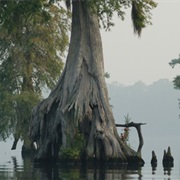 Great Dismal Swamp National Wildlife Refuge