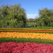 Chicago Botanical Garden