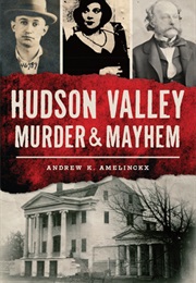 Hudson Valley Murder & Mayhem (Andrew K. Amelinckx)