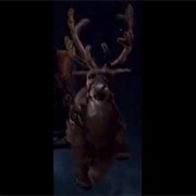 Reindeer