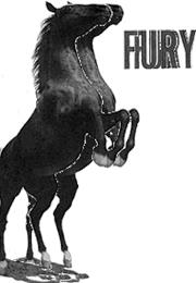 Fury