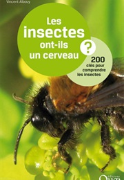 Les Insectes Ont-Ils Un Cerveau? (Vincent Albouy)