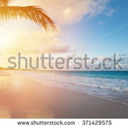 Didn't Pay to Get Rid of Watermarks and Just Used the Image Anyway