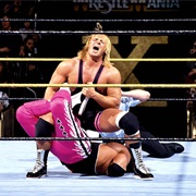 Bret Hart vs. Owen Hart,Wrestlemania 10
