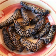 Mopani/Mopane Worm