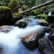 Baw Baw National Park (VIC)