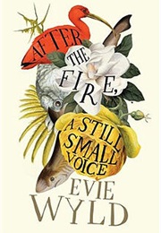After the Fire, a Still Small Voice (Evie Wyld)