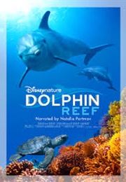 Dolphin Reef (2019)