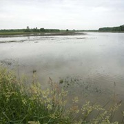 Maple River State Game Area, Michigan