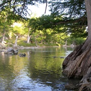 Guadalupe River State Park, Texas