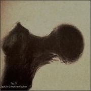 Jackie-O Motherfucker - Fig. 5