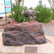 Red Dog Statue, Dampier