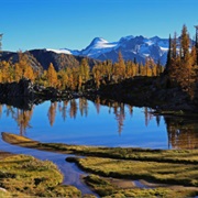 Purcell Mountains, Canada (Alive)