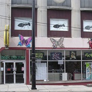 Insectarium (Philadelphia)