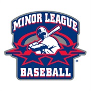 Go to a Minor League Baseball Game
