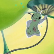 Poxy (Experiment 222)