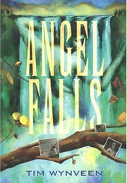 Angel Falls (Tim Wynveen)