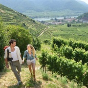 Wachau World Heritage Trail, Austria