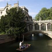 Go Punting in Cambridge