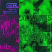 Nine Inch Nails - The Perfect Drug