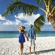 Spend New Years in an Exotic Location