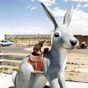 Joseph City AZ Jack Rabbit Trading Post