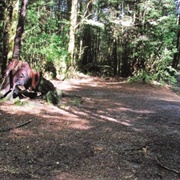 Clements Rd End Central NI