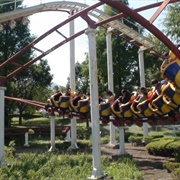 Navel Coaster (Shibukava Skyland)