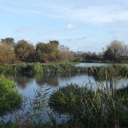 Walthamstow Wetlands