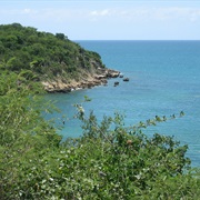 Guanica State Forest, Puerto Rico
