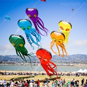 Octupi Kites