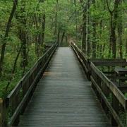 Radnor Lake State Park, Tennessee