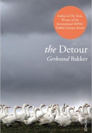 The Detour (Gerbrand Bakker)