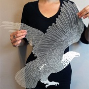 Scratching Plastic Pictures