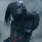 Predator