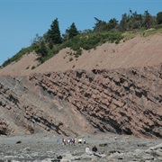 Joggins Fossil Cliffs, NS