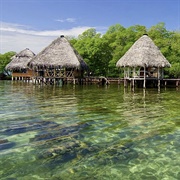 Isla Bastimentos National Marine Park, Panama