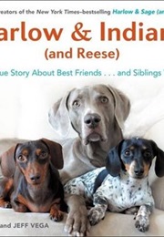 Harlow & Indiana (And Reese): A True Story About Best Friends...And Siblings Too! (Brittni Vega)