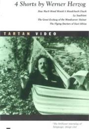 How Much Wood Would a Woodchuck Chuck