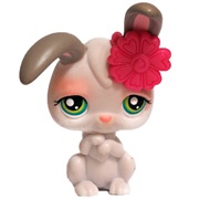 Littlest Pet Shop #211