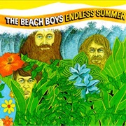 The Beach Boys - Endless Summer
