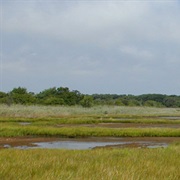 Seatuck National Wildlife Refuge
